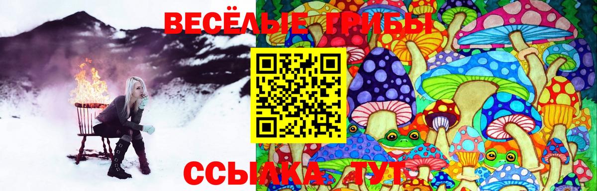 Псилоцибиновые грибы Magic Shrooms  Вход с VPN  Куйбышев 